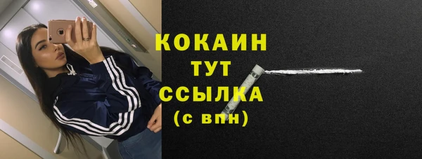 a pvp Новодвинск